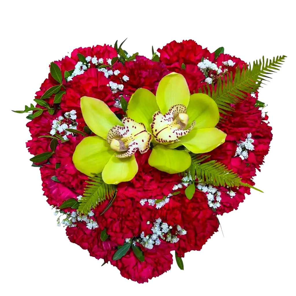 corazón de flores rojas y verdes en pamplona